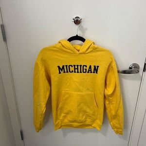 Michigan Sweater (Kids Large)